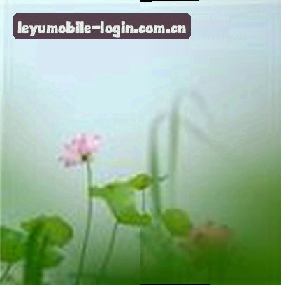 孙女士